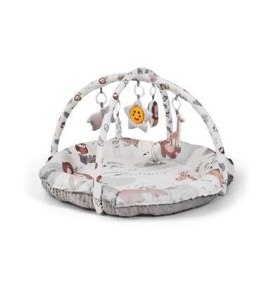 Palestra Gioco Attività MS