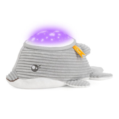 Delfino Dolce Notte Proiettore e Carillon Chicco